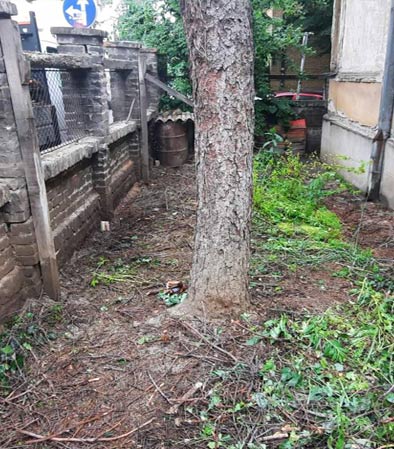 dvorište sa granjem posle nas